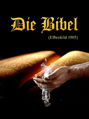 Die Bibel, Elberfeld, 1905 - Cover