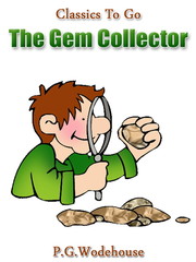 The Gem Collector