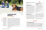 Yes we camp! Camping mit Hund - Illustrationen 5