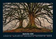 Bilder der Natur 2020 Fotokalender DIN A4 - Abbildung 1
