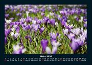 Bilder der Natur 2020 Fotokalender DIN A4 - Abbildung 7