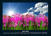 Bilder der Natur 2020 Fotokalender DIN A4 - Abbildung 8