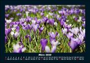 Bilder der Natur 2020 Fotokalender DIN A5 - Abbildung 7
