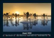 Bilder der Natur 2020 Fotokalender DIN A5 - Abbildung 12