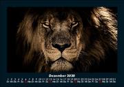 Der Tierkalender 2020 Fotokalender DIN A5 - Abbildung 4