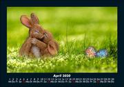 Der Tierkalender 2020 Fotokalender DIN A5 - Abbildung 8