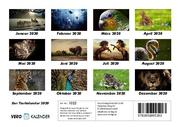 Der Tierkalender 2020 Fotokalender DIN A5 - Abbildung 13