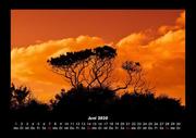 Bilder aus der Natur 2020 Fotokalender DIN A3 - Abbildung 10