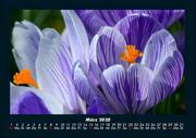 Bilder aus der Natur 2020 Fotokalender DIN A4 - Abbildung 7