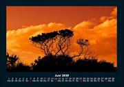Bilder aus der Natur 2020 Fotokalender DIN A4 - Abbildung 10