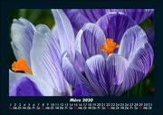 Bilder aus der Natur 2020 Fotokalender DIN A5 - Abbildung 7
