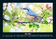 Natur-Bilder 2021 Fotokalender DIN A4 - Abbildung 9