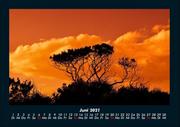 Natur-Bilder 2021 Fotokalender DIN A4 - Abbildung 10