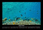 Meeres Kalender 2022 Fotokalender DIN A3 - Abbildung 12
