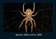 Spinnen, Käfer und Co. 2022 Fotokalender DIN A4