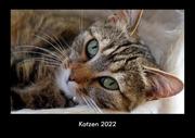 Katzen 2022 Fotokalender DIN A3
