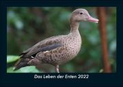 Das Leben der Enten 2022 Fotokalender DIN A5