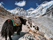 The Great Himalaya Trail - Abbildung 2