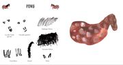 Tiere zeichnen für Angsthasen und Faultiere - Abbildung 1