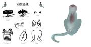 Tiere zeichnen für Angsthasen und Faultiere - Abbildung 3