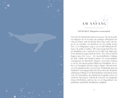 Die Reise der Wale - Illustrationen 5