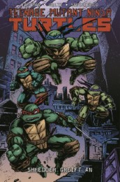 Teenage Mutant Ninja Turtles 10 - Cover