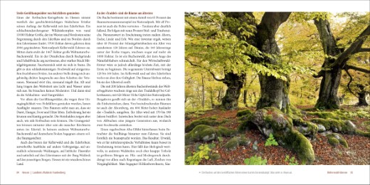 Deutschlands alte Buchenwälder - Abbildung 5