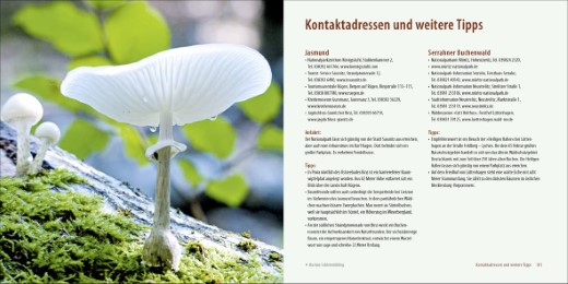Deutschlands alte Buchenwälder - Abbildung 7