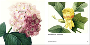 Book To Go - Historische Blumenbilder - Abbildung 4