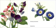 Book To Go - Historische Blumenbilder - Abbildung 5