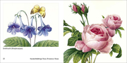 Book To Go - Historische Blumenbilder - Abbildung 6