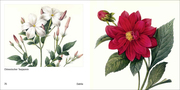 Book To Go - Historische Blumenbilder - Abbildung 11