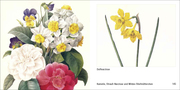 Book To Go - Historische Blumenbilder - Abbildung 12