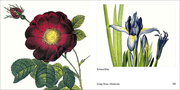 Book To Go - Historische Blumenbilder - Abbildung 13