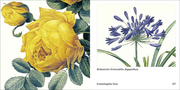 Book To Go - Historische Blumenbilder - Abbildung 15