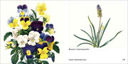 Book To Go - Historische Blumenbilder - Abbildung 16