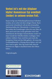 Nebelhorn - Abbildung 1