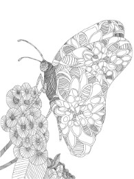 Schmetterling im Muschelwald - Abbildung 8