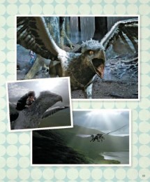 IncrediBuilds - Harry Potter: Seidenschnabel - Illustrationen 5