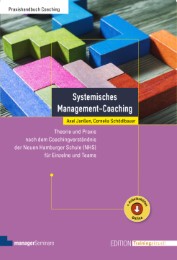 Systemisches Management-Coaching