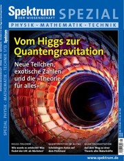 Vom Higgs zur Quantengravitation - Cover