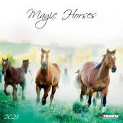 Magic Horses 2023