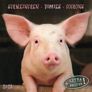 Piggies/Schweinchen 2023 - Cover
