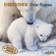Polar Bears/Eisbärchen 2023
