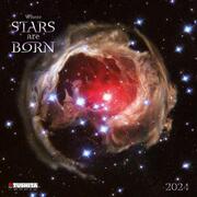 Where Stars are Born 2024