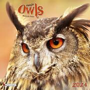 Magic Owls/Magische Eulen 2024 - Cover