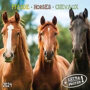 Pferde/Horses/Chevaux 2024 - Cover
