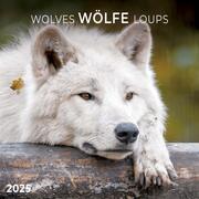 Wolves/Wölfe 2025