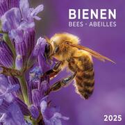 Bienen 2025