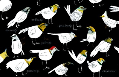 Komische Vögel - Abbildung 1